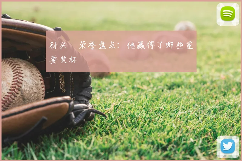 孙兴慜荣誉盘点：他赢得了哪些重要奖杯