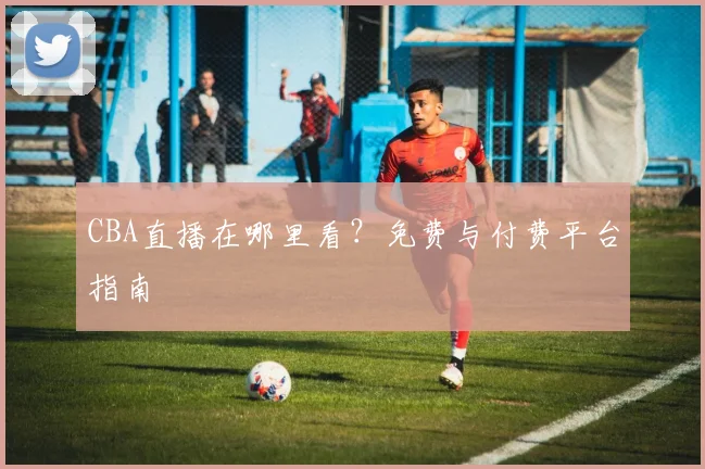 CBA直播在哪里看？免费与付费平台指南