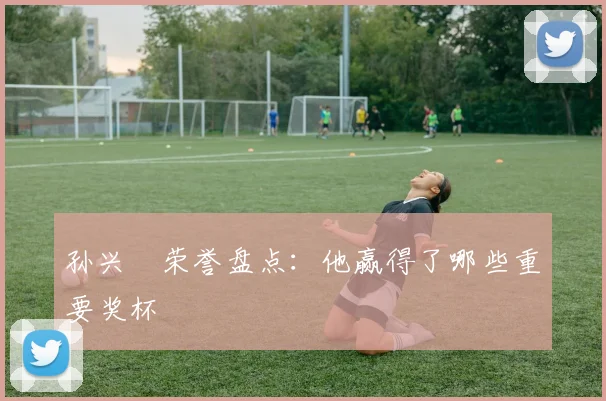 孙兴慜荣誉盘点：他赢得了哪些重要奖杯