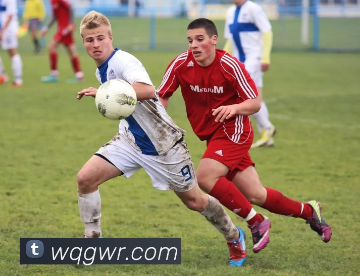 体育赛事直播
